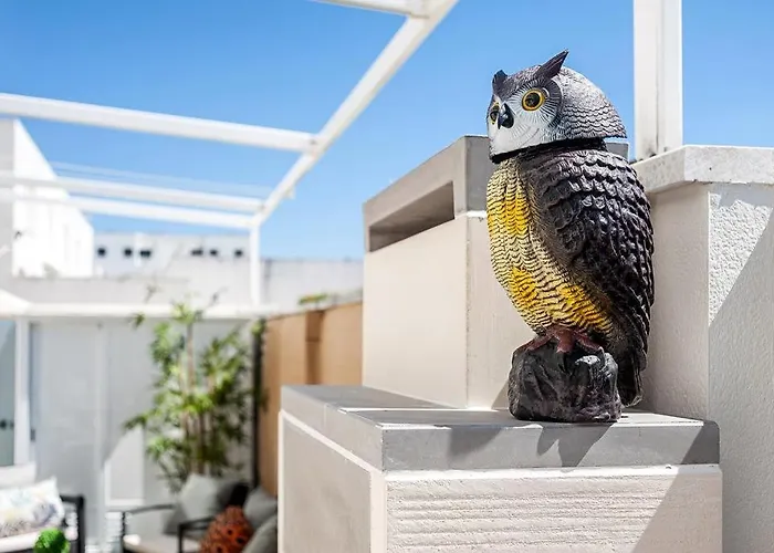 Casa Terraza * Conil de la Frontera