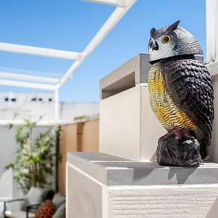 Casa Terraza * 콘일데라프론테라